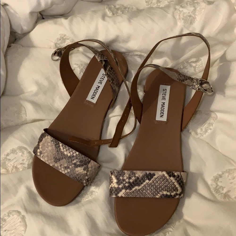 Steve Madden Snake skin sandals